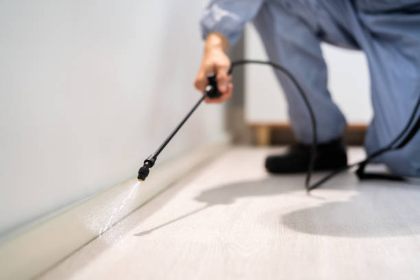 Licensed Fumigation Services service in Verandah, FL - Nex Pest Control