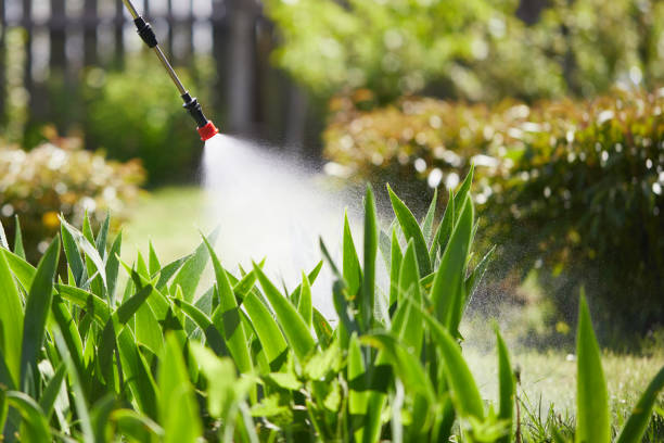 24/7 Emergency Fumigation Services experts in Verandah, FL