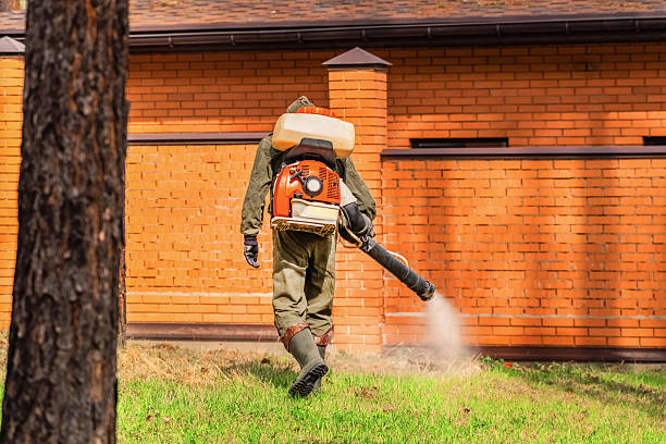Trusted Cockroach Control service in Verandah, FL - Nex Pest Control